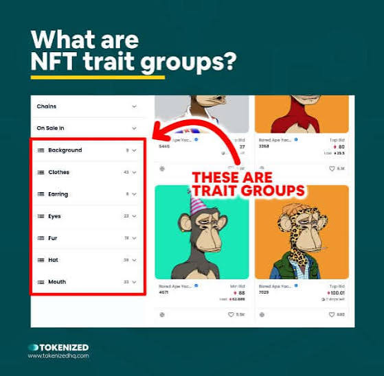 What Is an NFT Trait and Why Does It Matter?